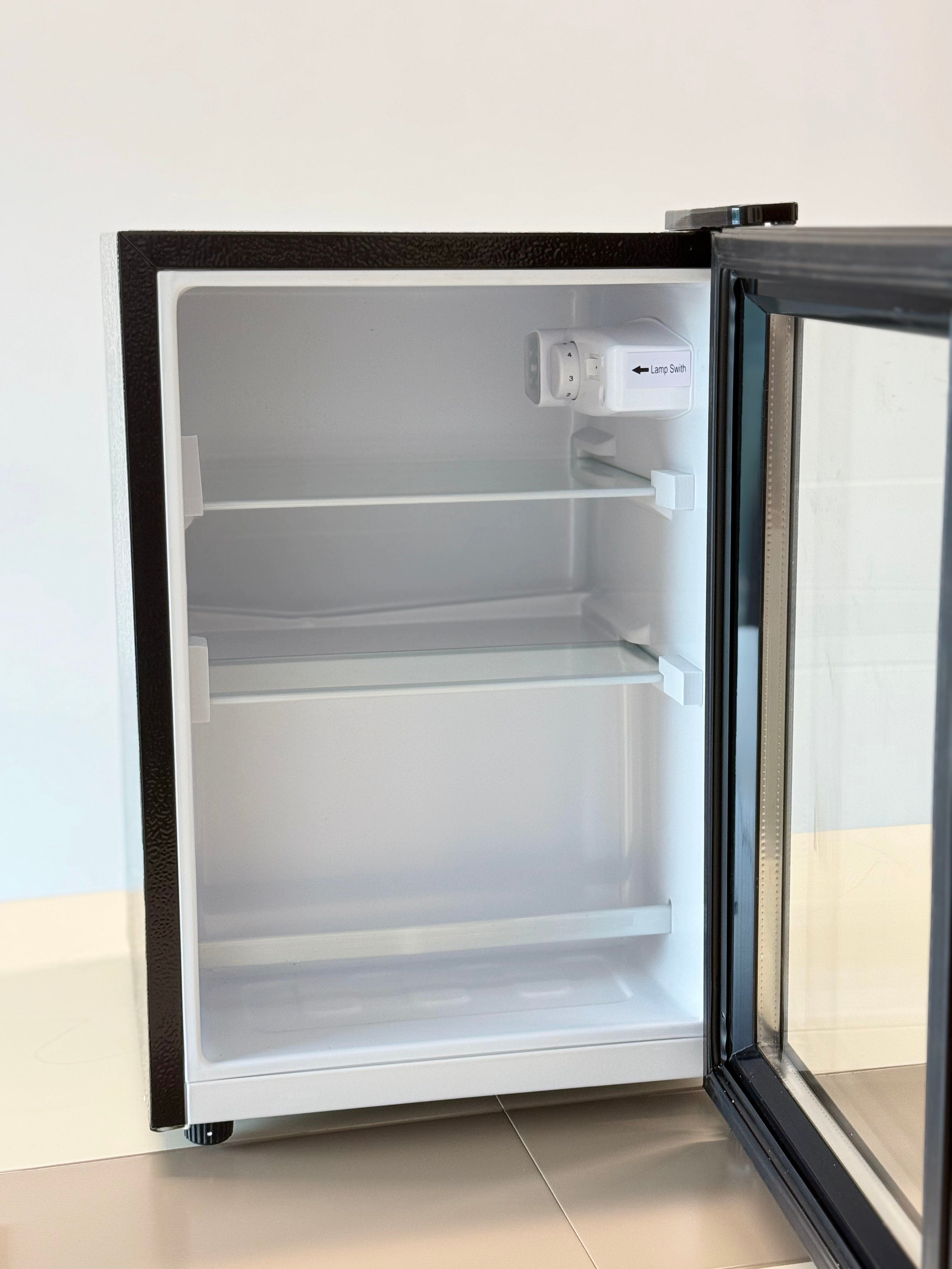 WECOOLX Electric Portable Refrigerator