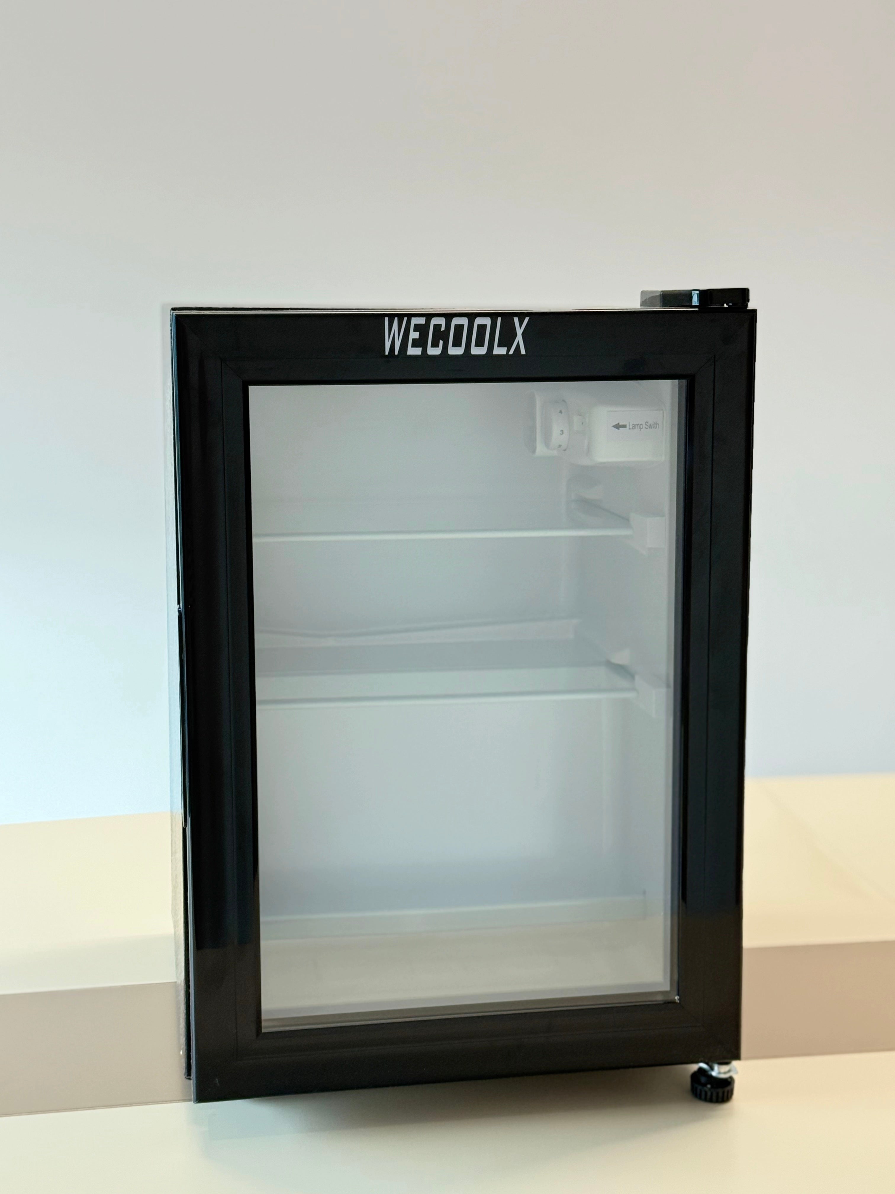 WECOOLX Electric Portable Refrigerator
