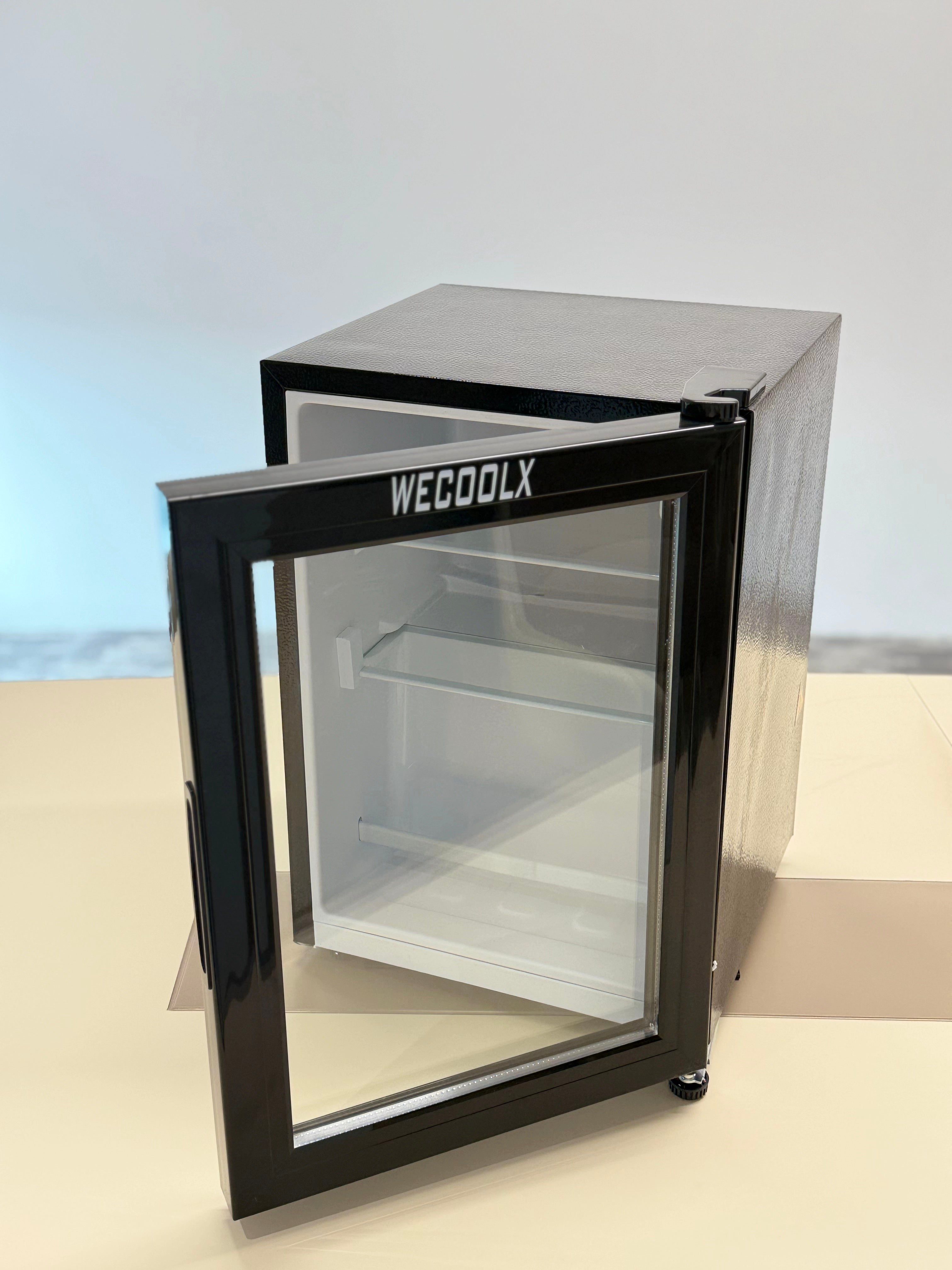 WECOOLX Electric Portable Refrigerator